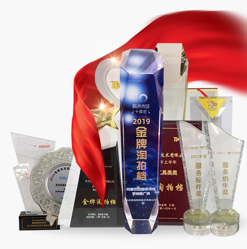  杭州麦苗荣誉奖项